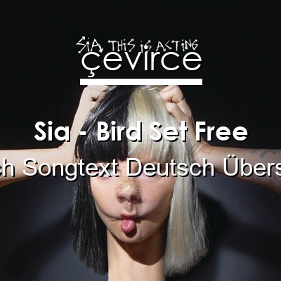 Sia – Bird Set Free Englisch Songtext Deutsch Übersetzung