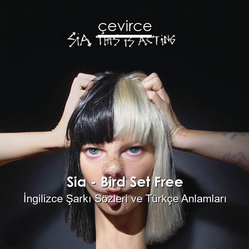 Sia – Bird Set Free İngilizce Sözleri Türkçe Anlamları