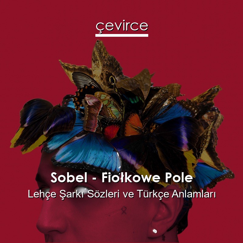 Sobel – Fiołkowe Pole Lehçe Sözleri Türkçe Anlamları