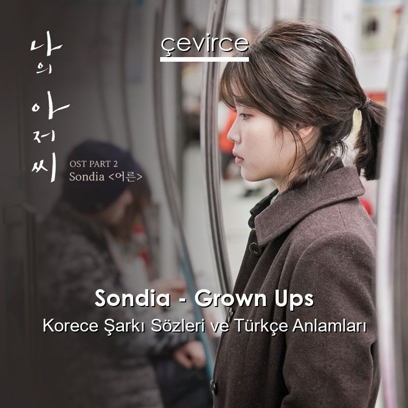 Sondia – Grown Ups Korece Sözleri Türkçe Anlamları