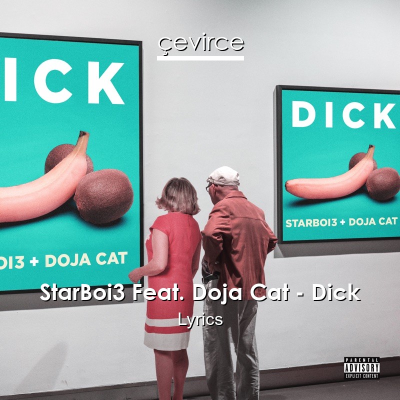 StarBoi3 Feat. Doja Cat – Dick Lyrics