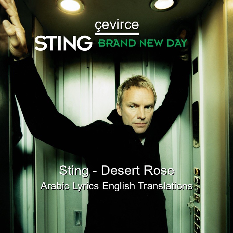 Sting – Desert Rose Arabic Lyrics English Translations