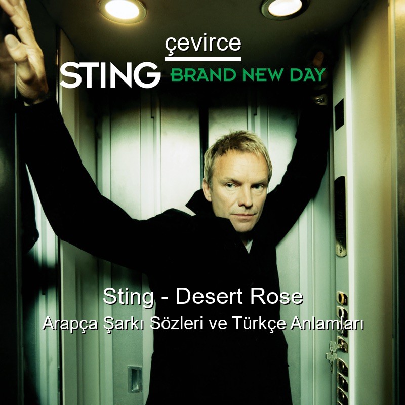 Sting – Desert Rose Arapça Sözleri Türkçe Anlamları