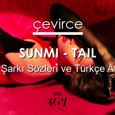 SUNMI – TAIL Korece Sözleri Türkçe Anlamları