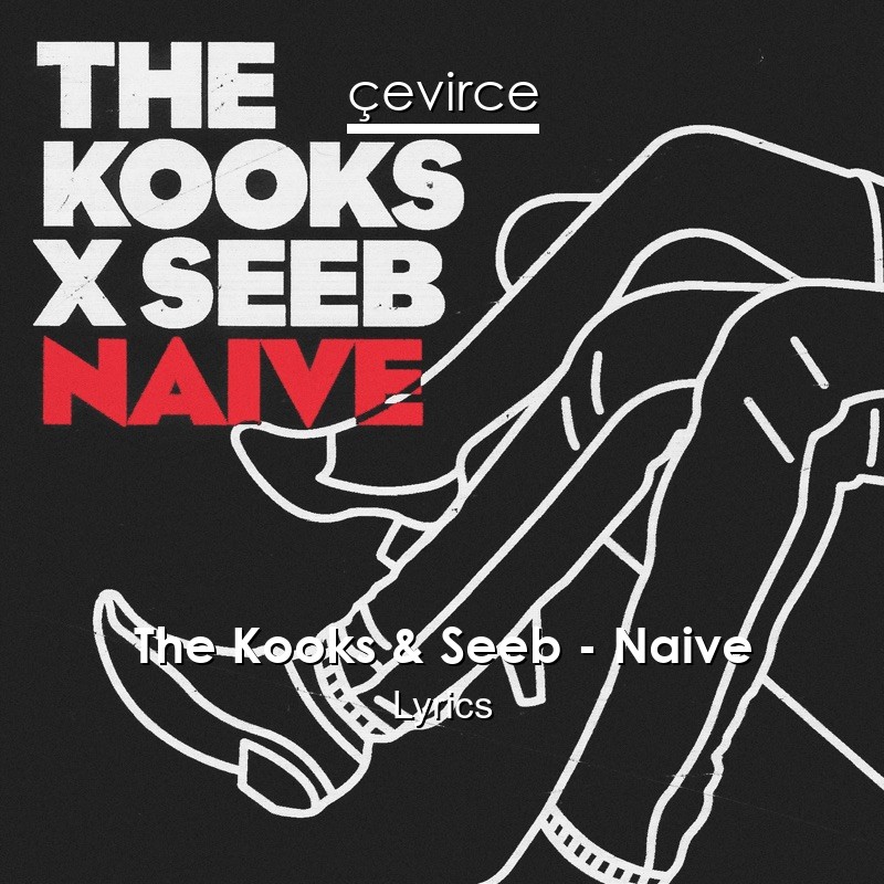 The Kooks & Seeb – Naive Lyrics