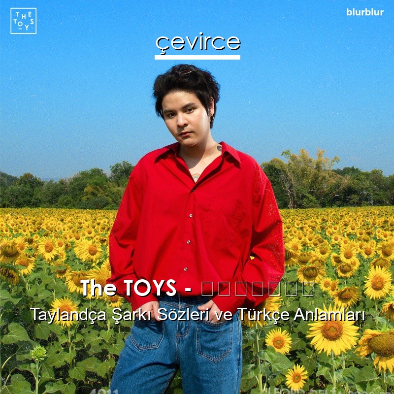 The TOYS – ไวน์ลดา Taylandça Sözleri Türkçe Anlamları