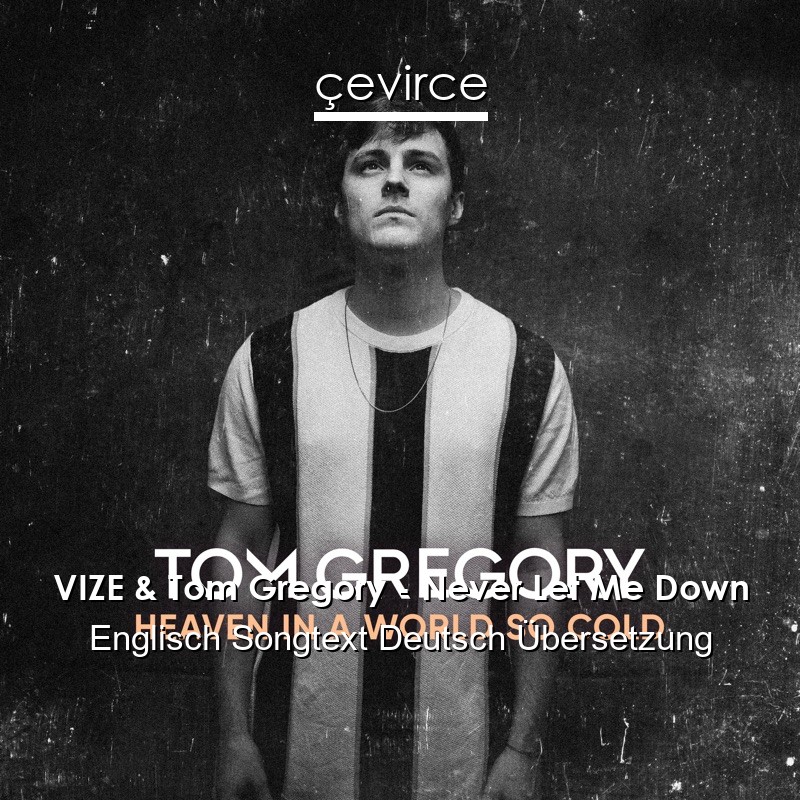 VIZE & Tom Gregory – Never Let Me Down Englisch Songtext Deutsch Übersetzung