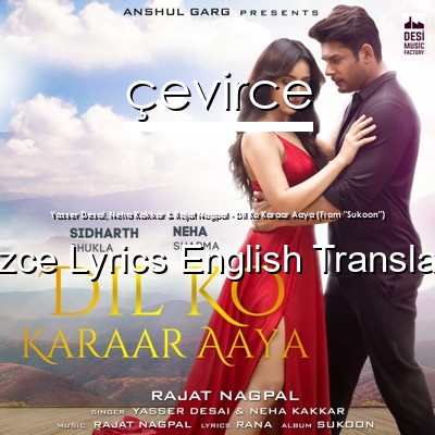 Yasser Desai, Neha Kakkar & Rajat Nagpal – Dil Ko Karaar Aaya (From “Sukoon”)  Lyrics English Translations