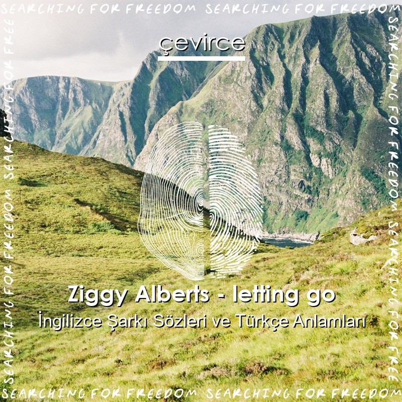 Ziggy Alberts – letting go İngilizce Sözleri Türkçe Anlamları