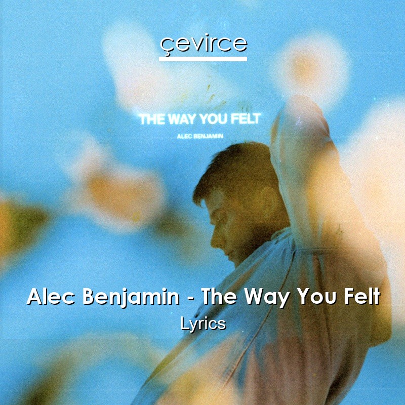 Alec Benjamin – The Way You Felt Lyrics