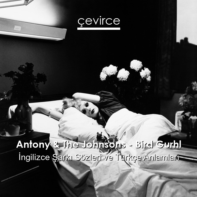 Antony & The Johnsons – Bird Gurhl İngilizce Şarkı Sözleri Türkçe Anlamları