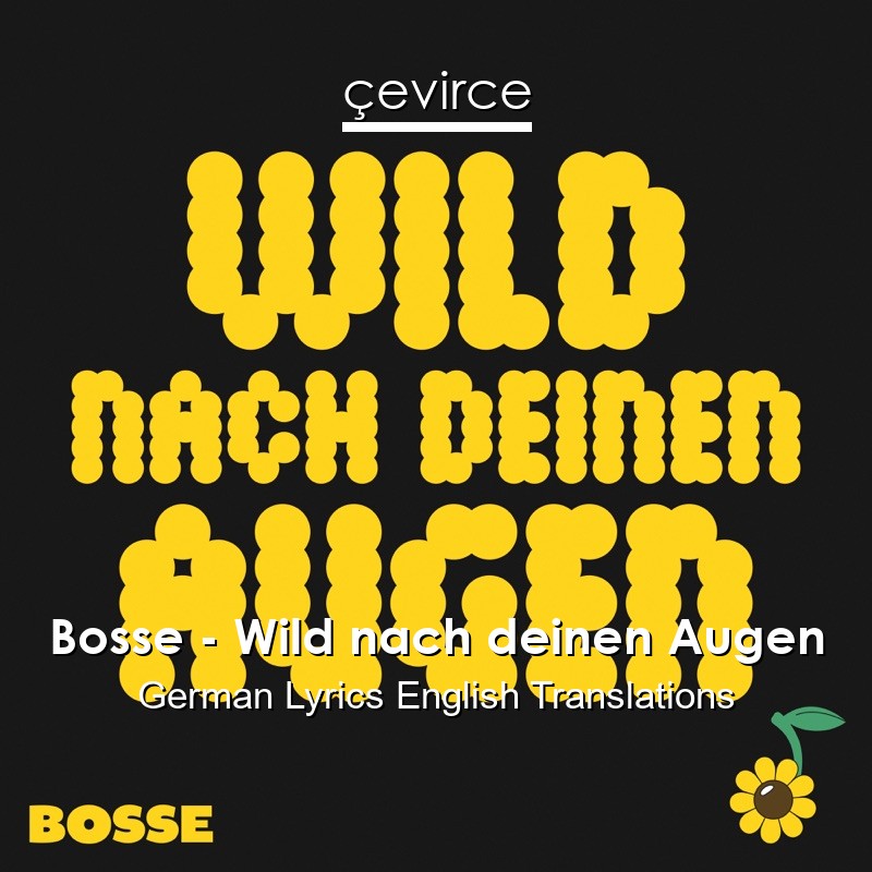 Bosse – Wild nach deinen Augen German Lyrics English Translations