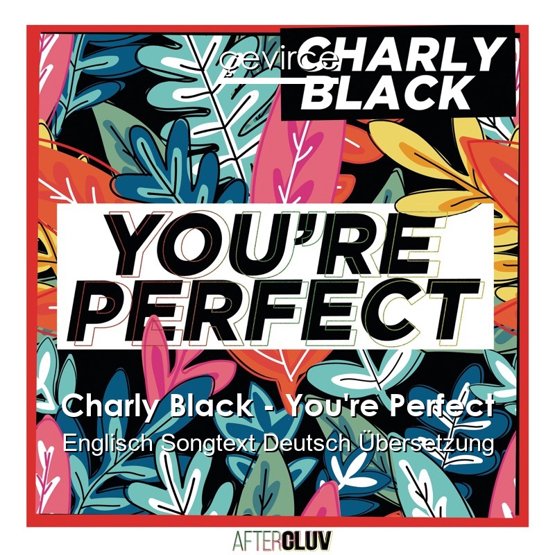 Charly Black – You’re Perfect Englisch Songtext Deutsch Übersetzung