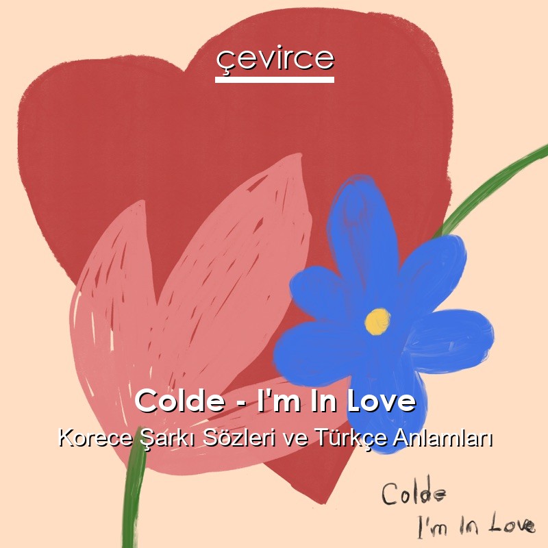 Colde – I’m In Love Korece Şarkı Sözleri Türkçe Anlamları