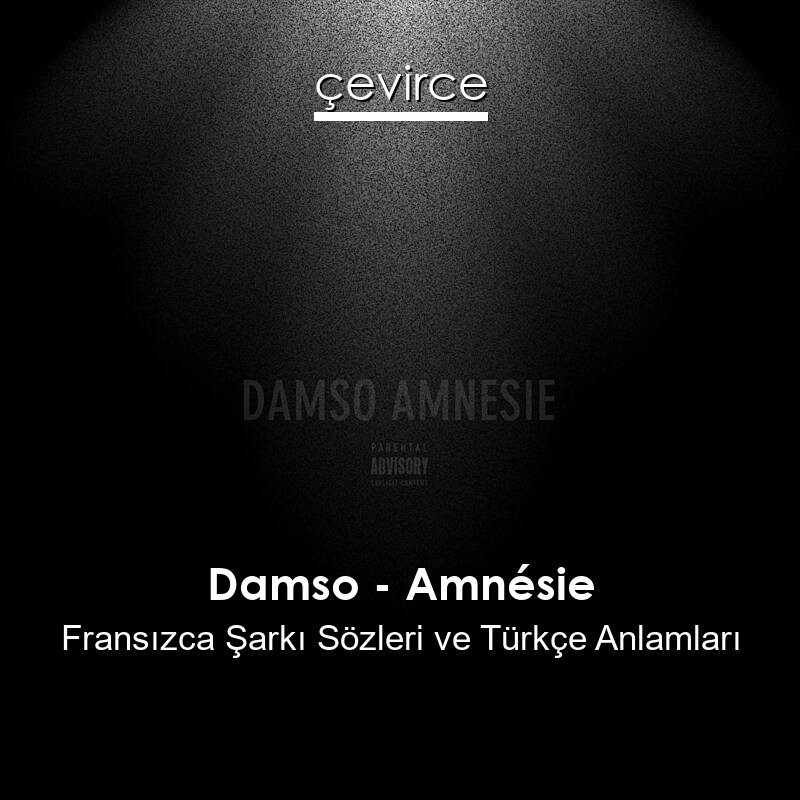 Damso – Amnésie Fransızca Şarkı Sözleri Türkçe Anlamları