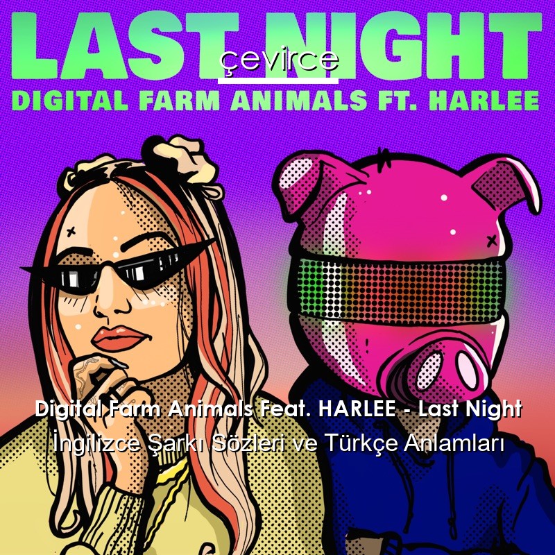 Digital Farm Animals Feat. HARLEE – Last Night İngilizce Şarkı Sözleri Türkçe Anlamları