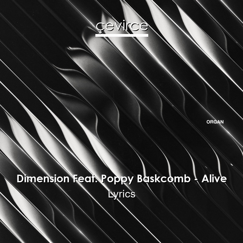 Dimension Feat. Poppy Baskcomb – Alive Lyrics