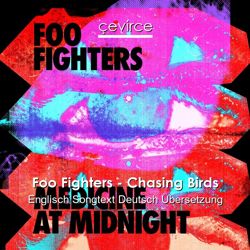 Foo Fighters – Chasing Birds Englisch Songtext Deutsch Übersetzung