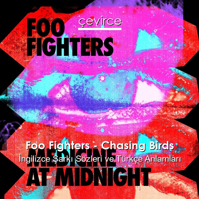 Foo Fighters – Chasing Birds İngilizce Şarkı Sözleri Türkçe Anlamları