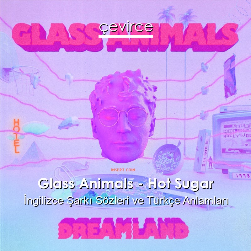 Glass Animals – Hot Sugar İngilizce Şarkı Sözleri Türkçe Anlamları