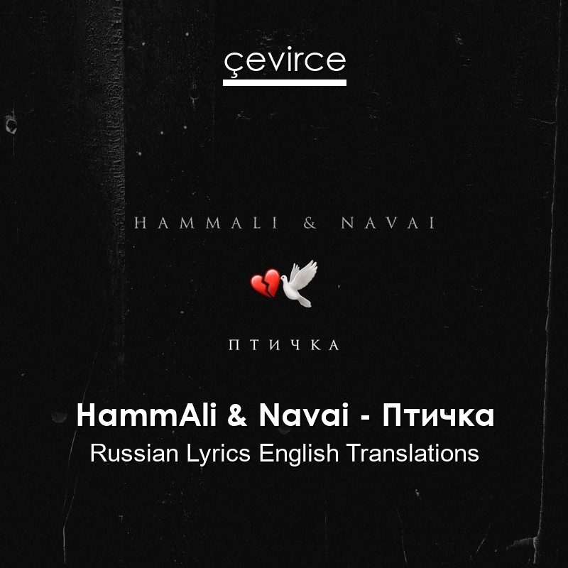 Текст песни птичка navai