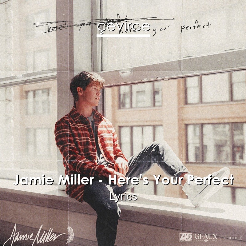 Jamie Miller – Here’s Your Perfect Lyrics