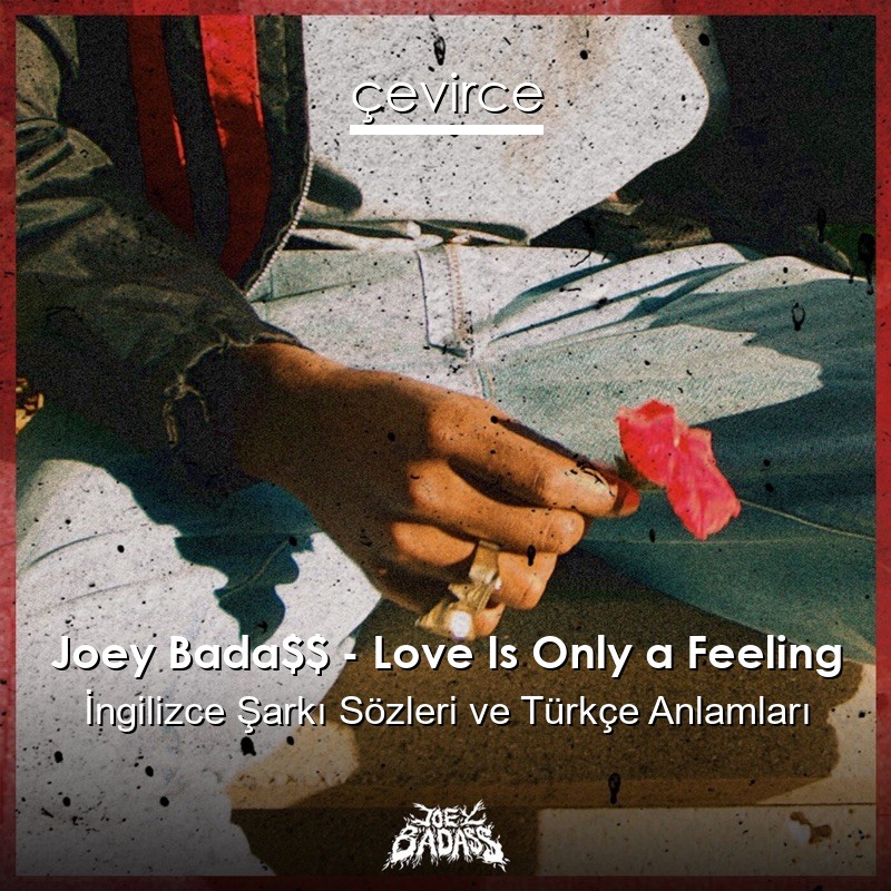 Joey Bada$$ – Love Is Only a Feeling İngilizce Şarkı Sözleri Türkçe Anlamları