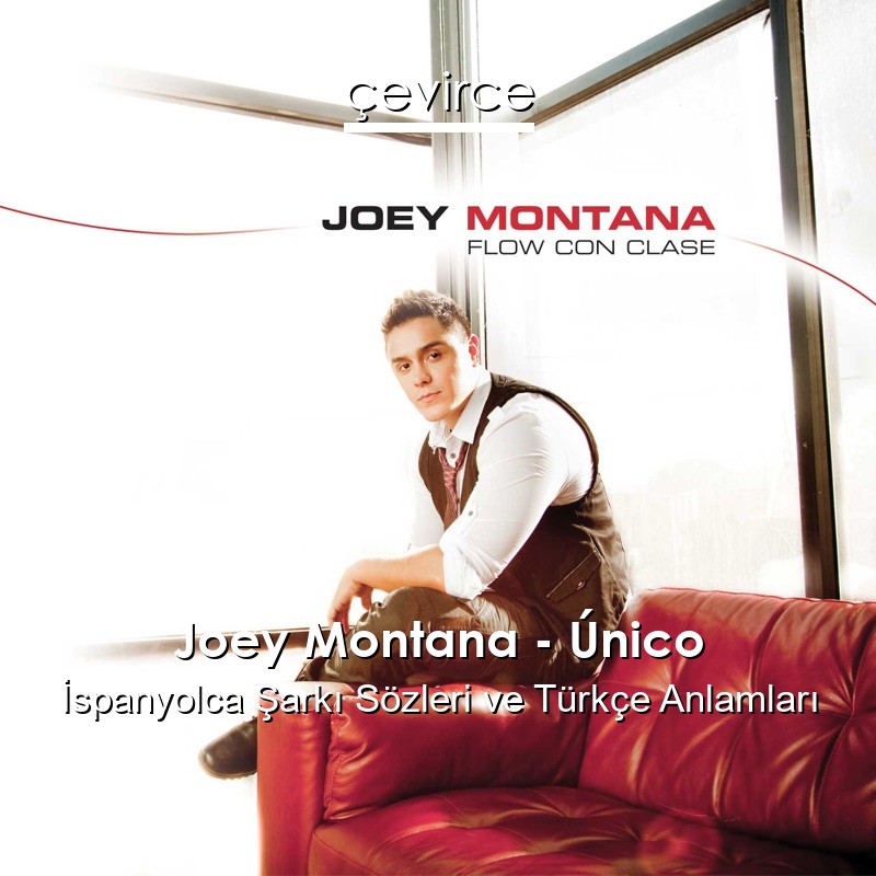 Joey Montana – Único İspanyolca Sözleri Türkçe Anlamları