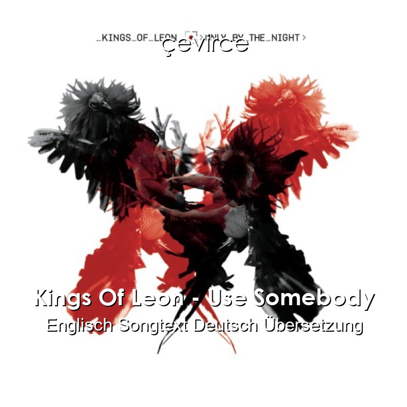 Kings Of Leon – Use Somebody Englisch Songtext Deutsch Übersetzung