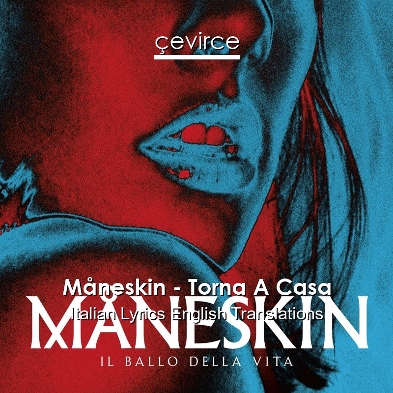 Måneskin – Torna A Casa Italian Lyrics English Translations