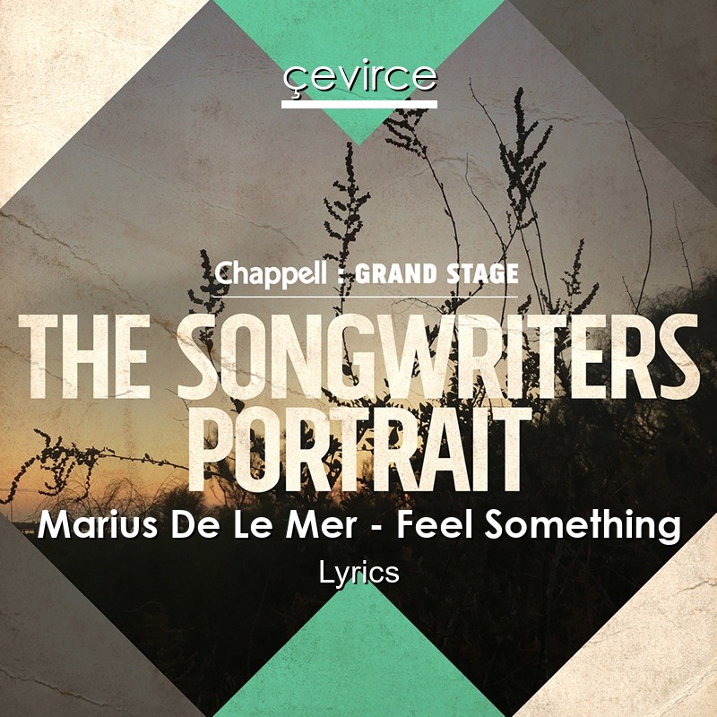 Marius De Le Mer – Feel Something Lyrics