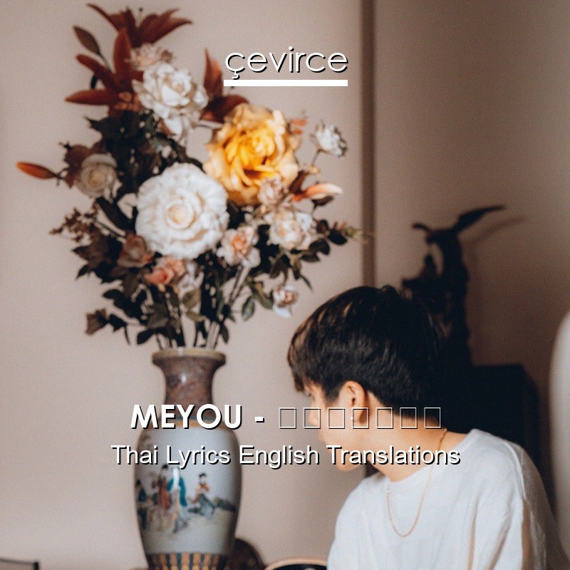 MEYOU – อีกแล้ว Thai Lyrics English Translations