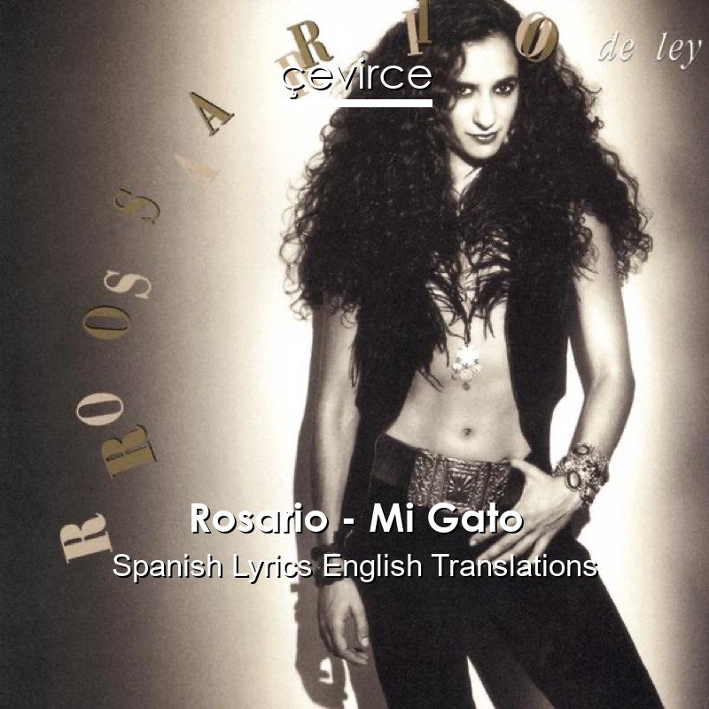 Rosario – Mi Gato Spanish Lyrics English Translations