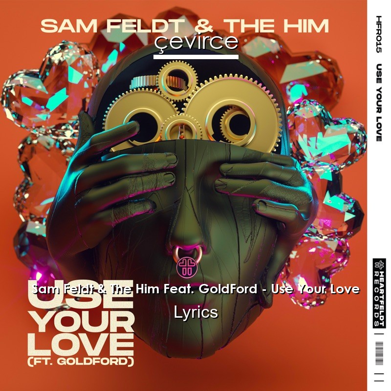 Sam Feldt & The Him Feat. GoldFord – Use Your Love Lyrics