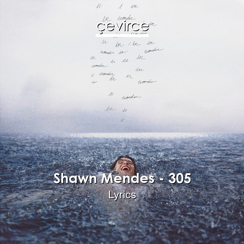 Shawn Mendes – 305 Lyrics