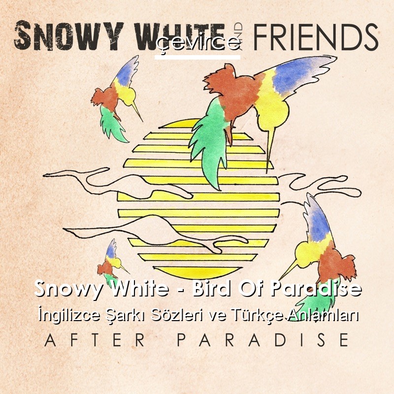 Snowy White – Bird Of Paradise İngilizce Sözleri Türkçe Anlamları