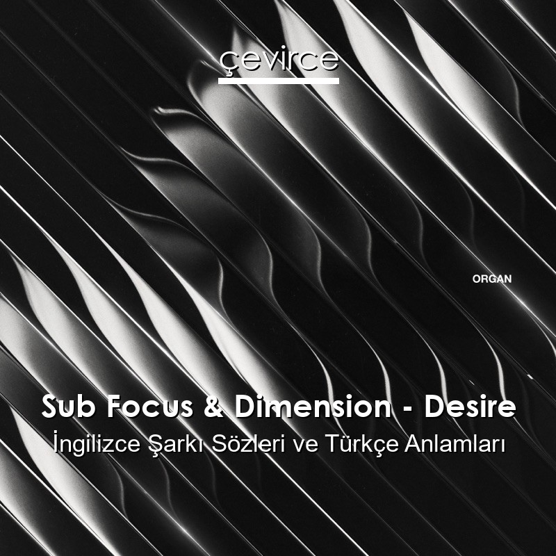 Sub Focus & Dimension – Desire İngilizce Sözleri Türkçe Anlamları