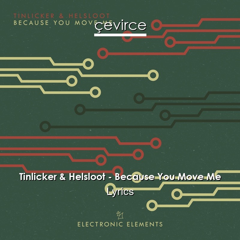 Tinlicker & Helsloot – Because You Move Me Lyrics