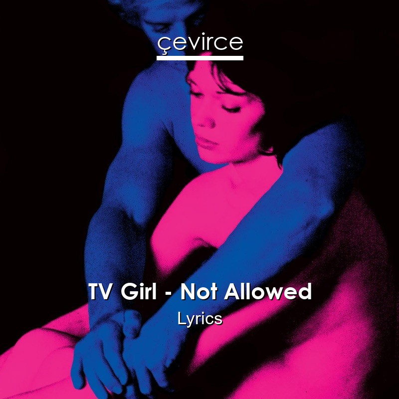 TV Girl – Not Allowed Lyrics