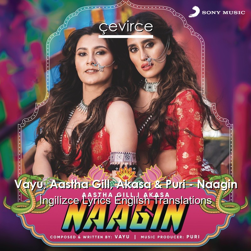 Vayu, Aastha Gill, Akasa & Puri – Naagin  Lyrics English Translations