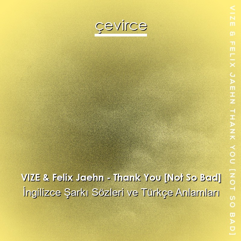 VIZE & Felix Jaehn – Thank You [Not So Bad] İngilizce Şarkı Sözleri Türkçe Anlamları