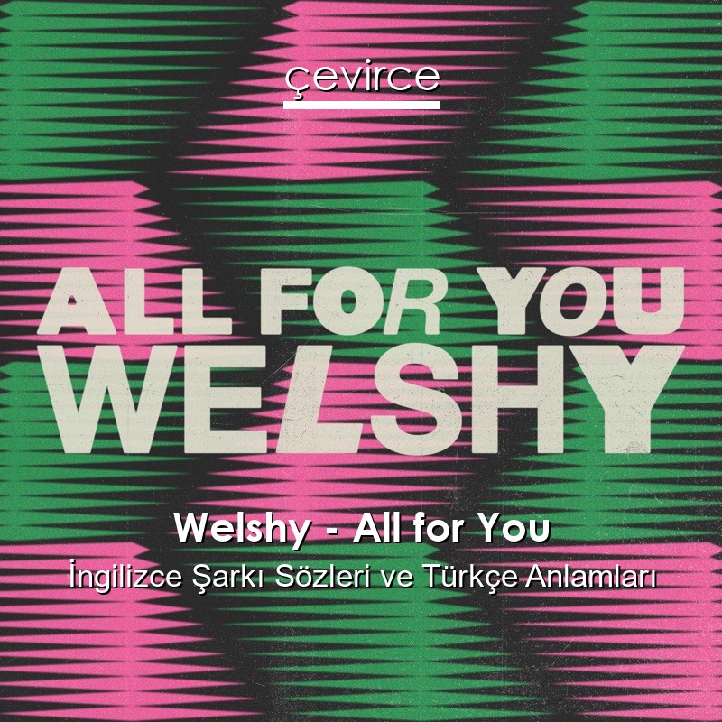 Welshy – All for You İngilizce Şarkı Sözleri Türkçe Anlamları