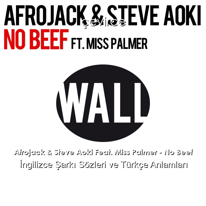 Afrojack & Steve Aoki Feat. Miss Palmer – No Beef İngilizce Şarkı Sözleri Türkçe Anlamları