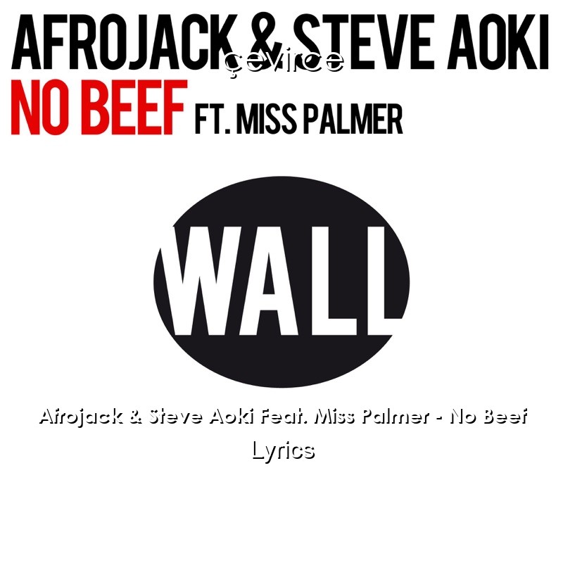 Afrojack & Steve Aoki Feat. Miss Palmer – No Beef Lyrics