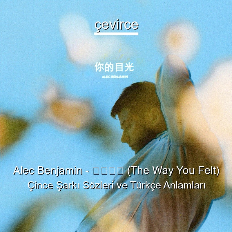 Alec Benjamin – 你的目光 (The Way You Felt) Çince Şarkı Sözleri Türkçe Anlamları