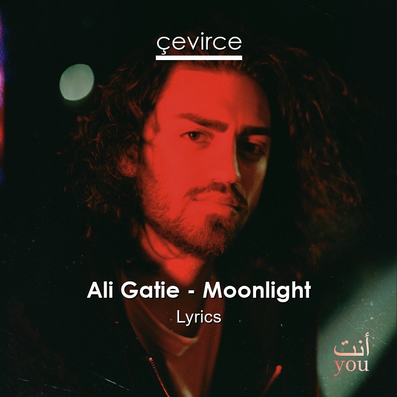 Ali Gatie – Moonlight Lyrics