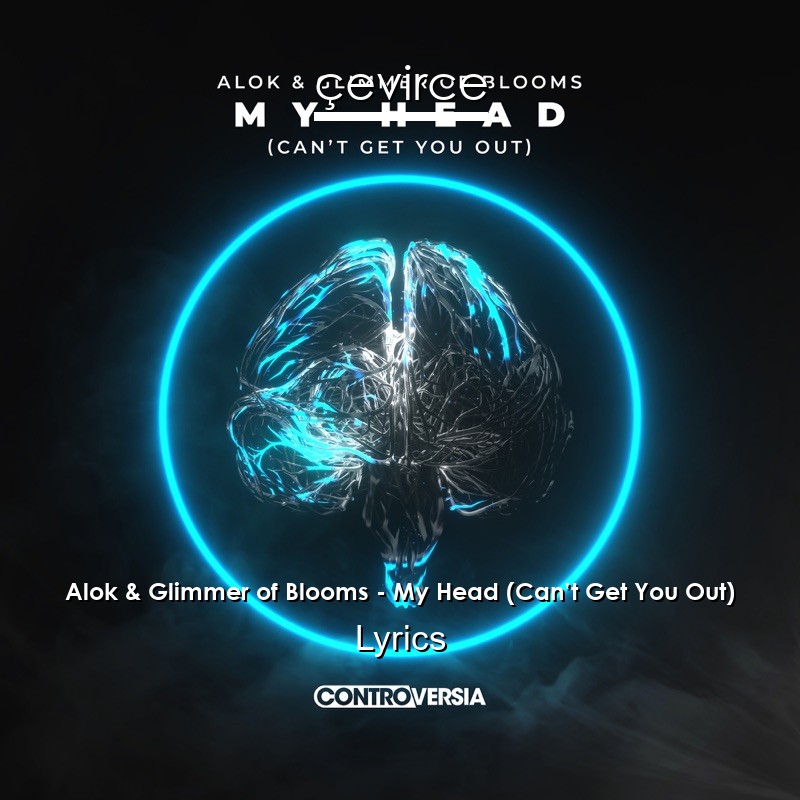 Alok & Glimmer of Blooms – My Head (Can’t Get You Out) Lyrics