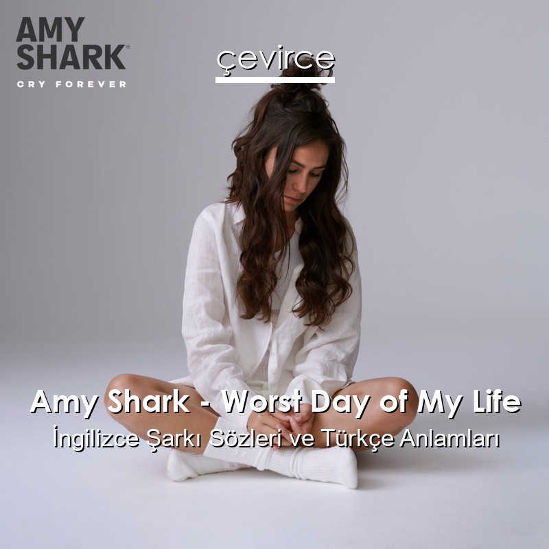 Amy Shark – Worst Day of My Life İngilizce Şarkı Sözleri Türkçe Anlamları