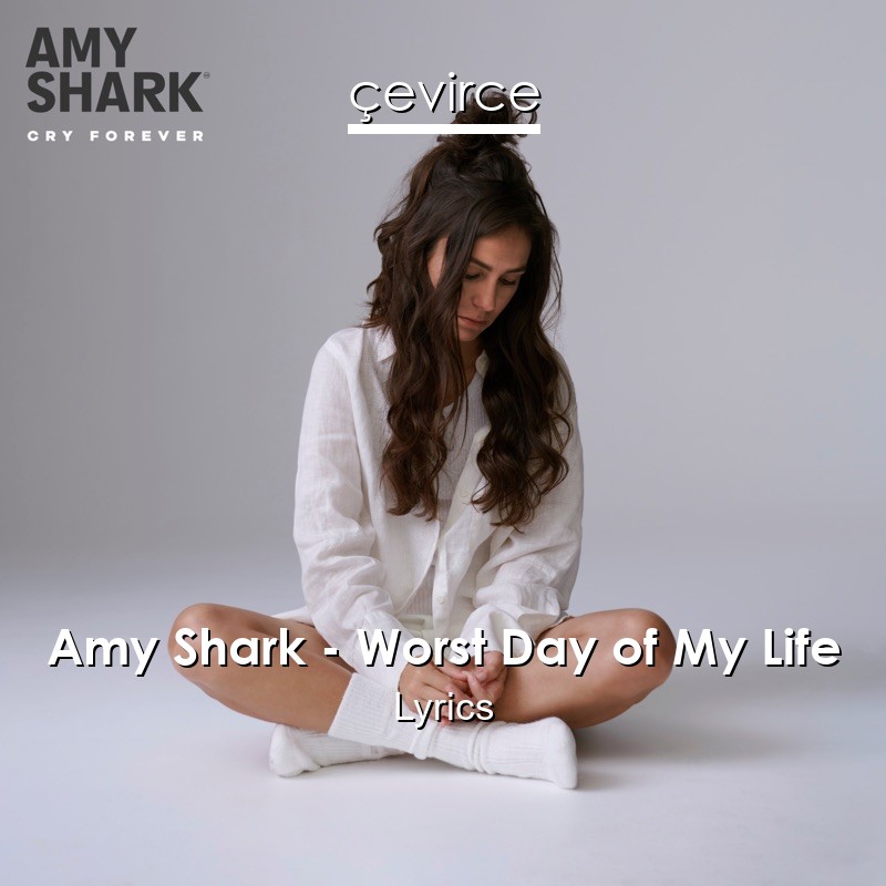 Amy Shark – Worst Day of My Life Lyrics