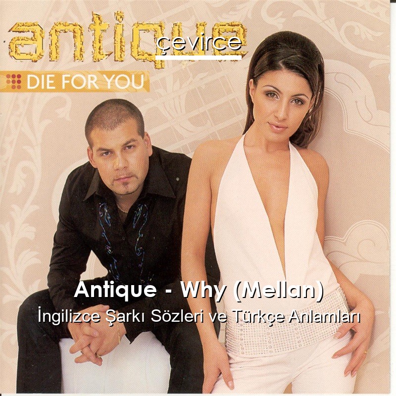 Antique – Why (Mellan) İngilizce Şarkı Sözleri Türkçe Anlamları